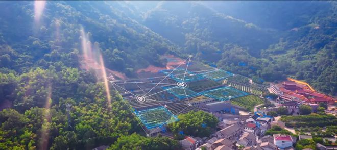 泛亚电竞温州市孝恩生平文化传播有限公司：科技赋能打造新型殡葬服务圈(图3)